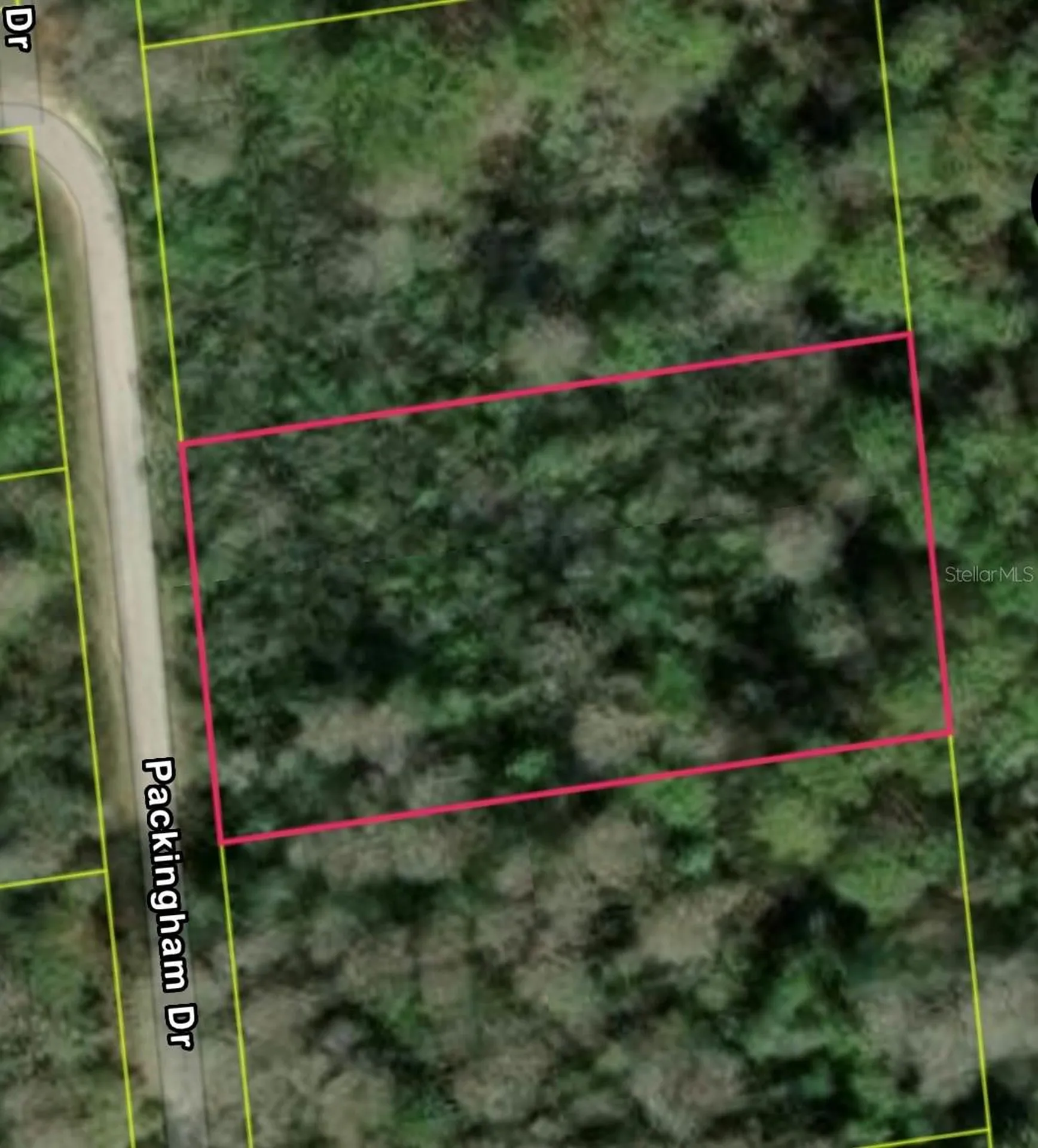 Packingham Dr, Lot 10 Webster FL 33597