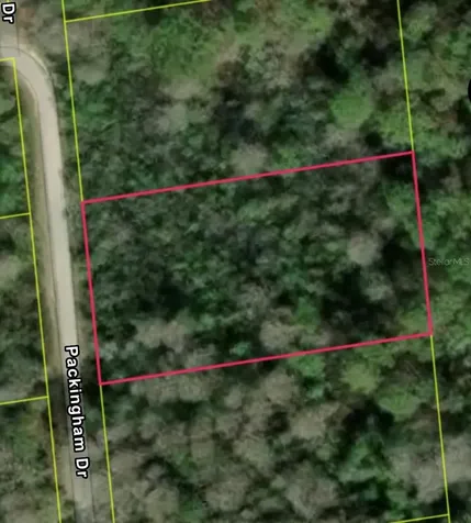 Packingham Dr, Lot 10 Webster FL 33597