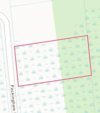Packingham Dr, Lot 10 Webster FL 33597