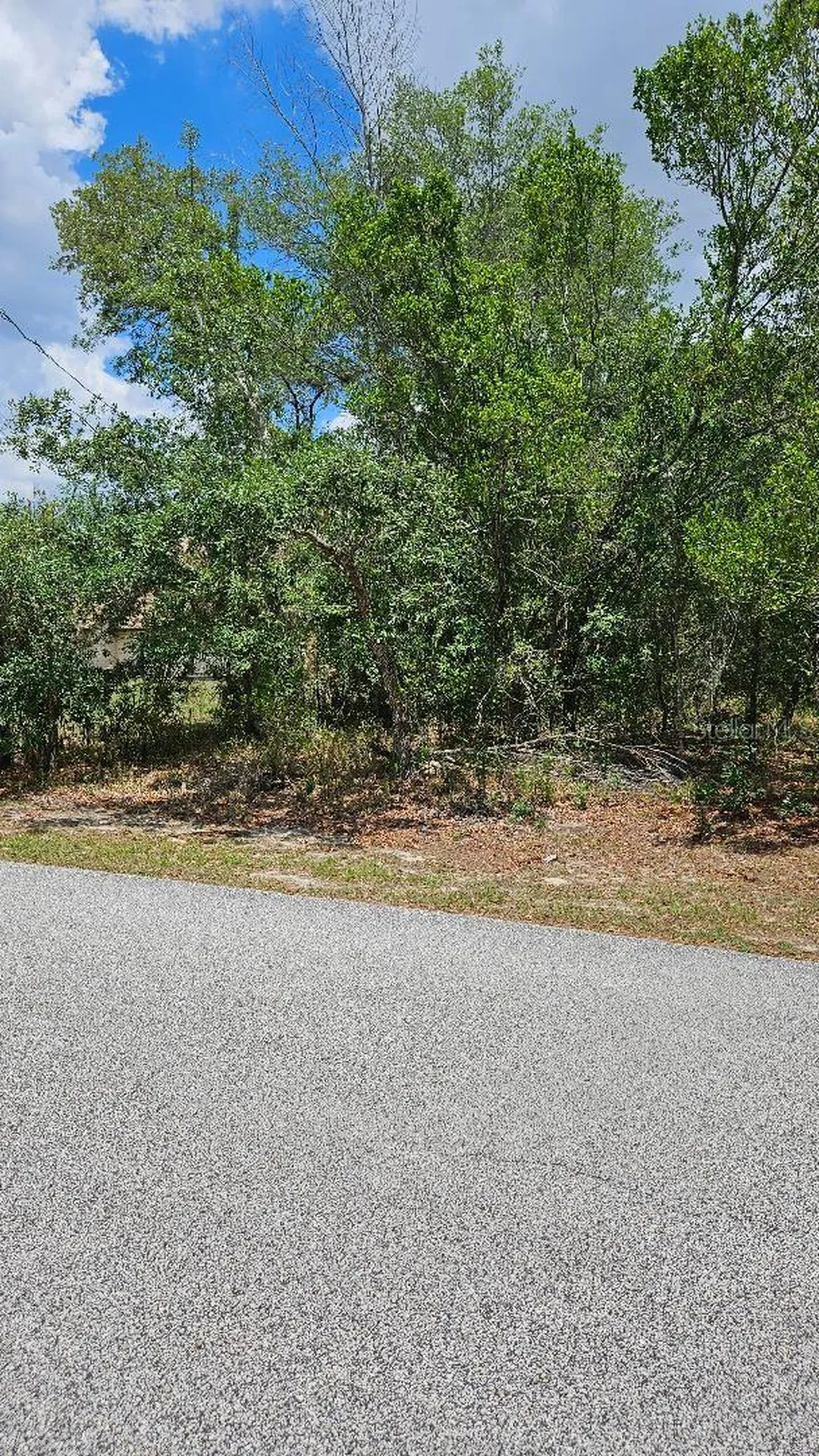 Brooksville FL 34610