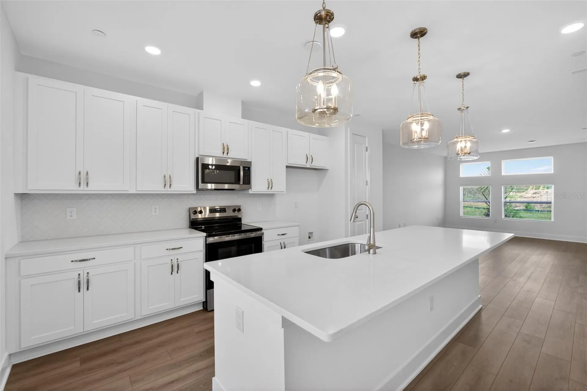 15213 Hamlin Park Drive Winter Garden FL 34787