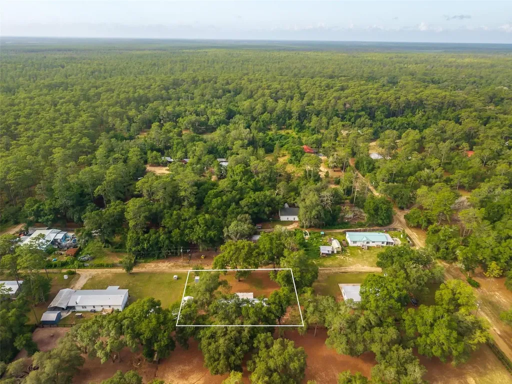23939 NE 121 Lane Salt Springs FL 32134