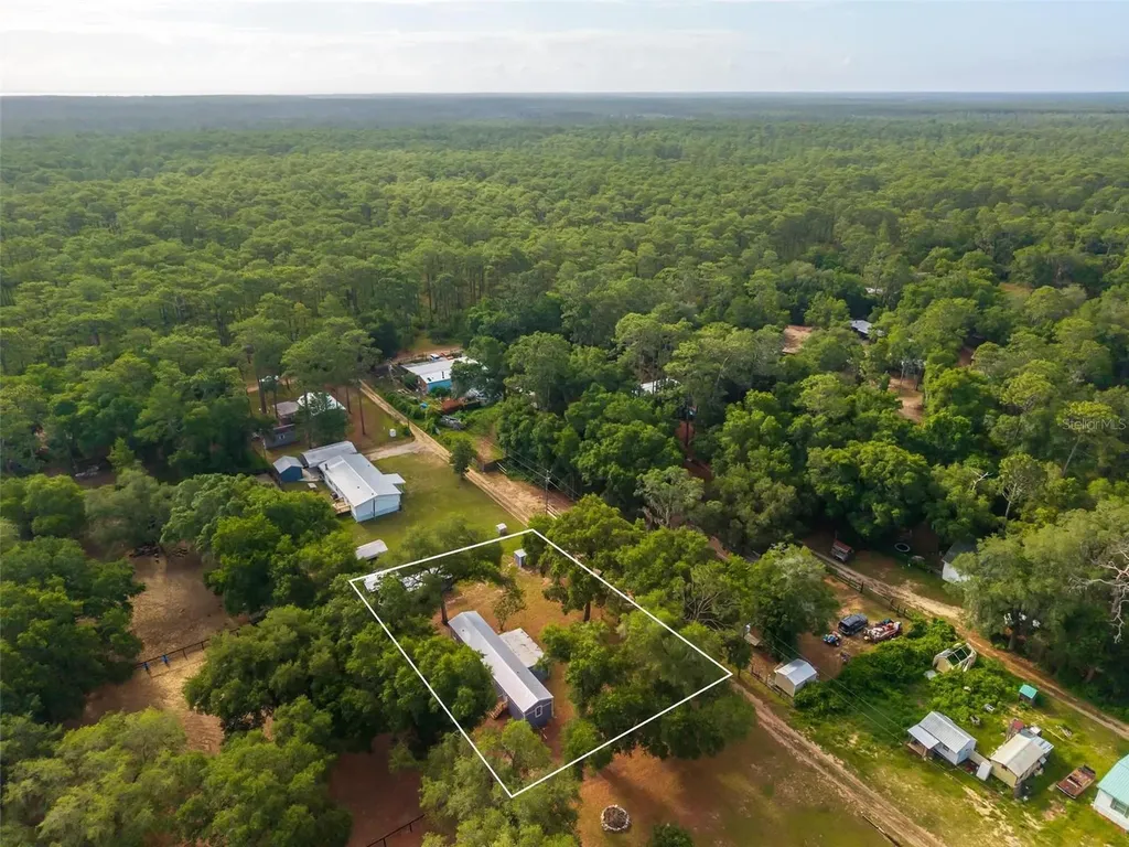 23939 NE 121 Lane Salt Springs FL 32134