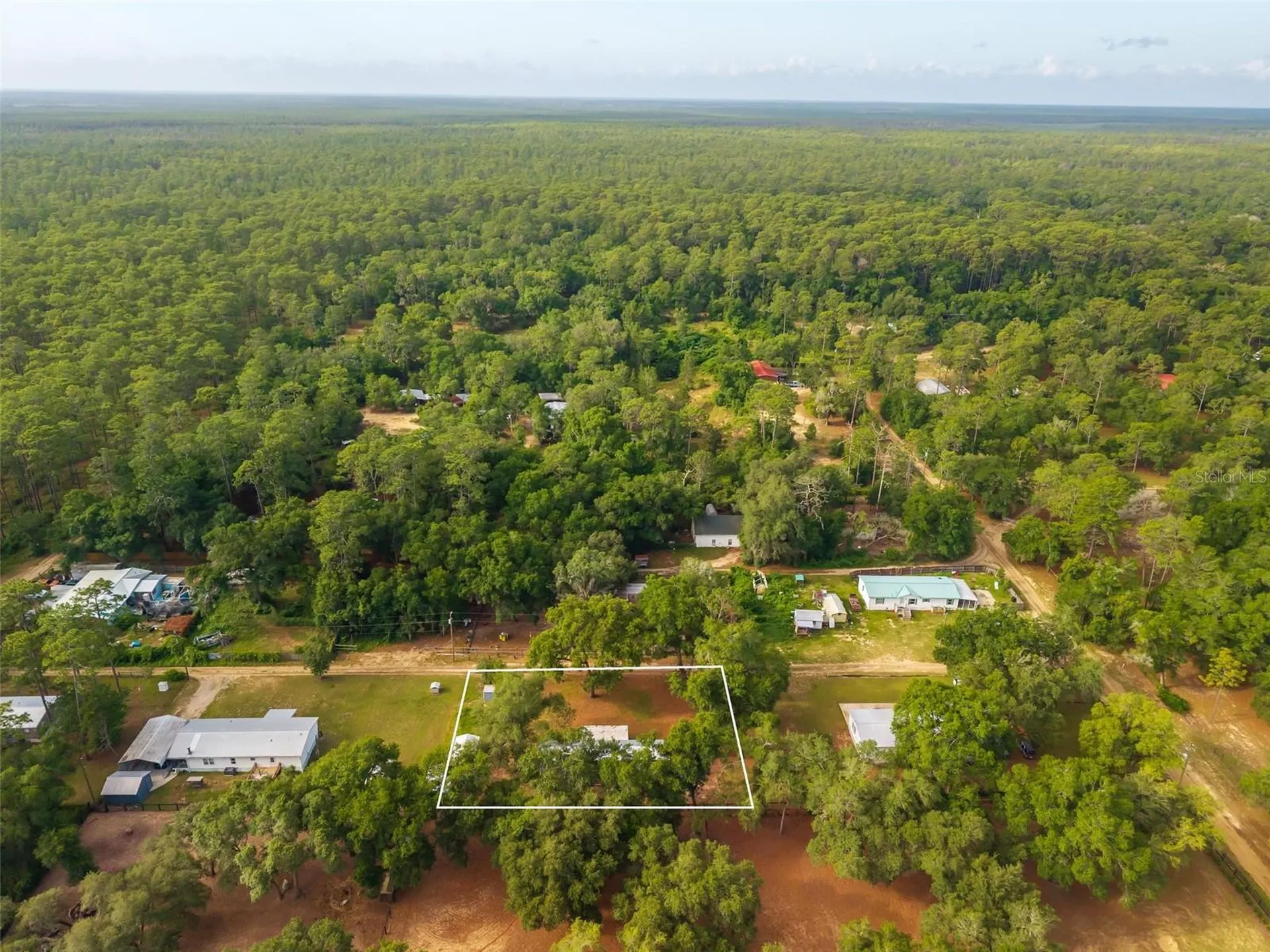 23939 NE 121 Lane Salt Springs FL 32134