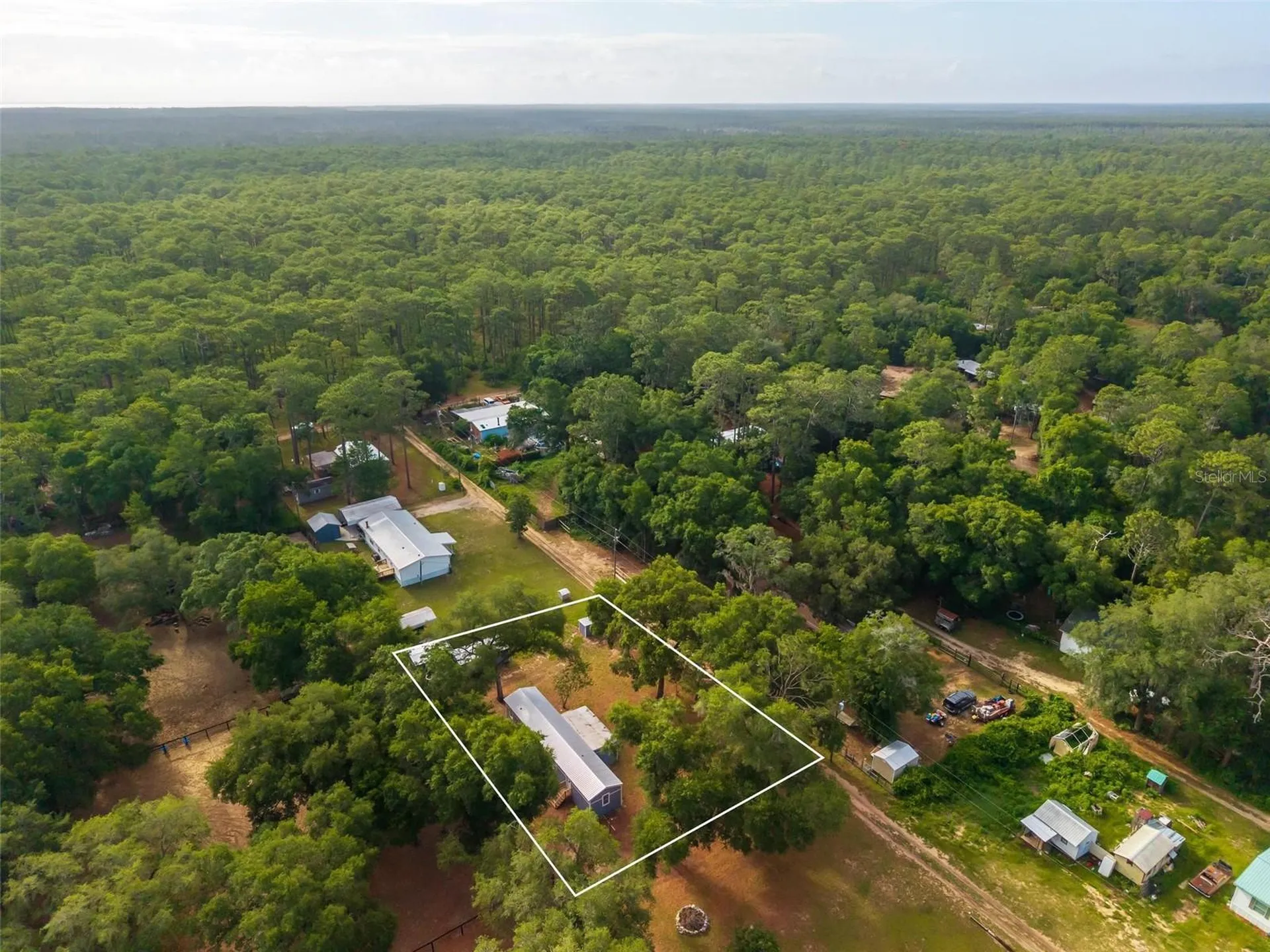 23939 NE 121 Lane Salt Springs FL 32134