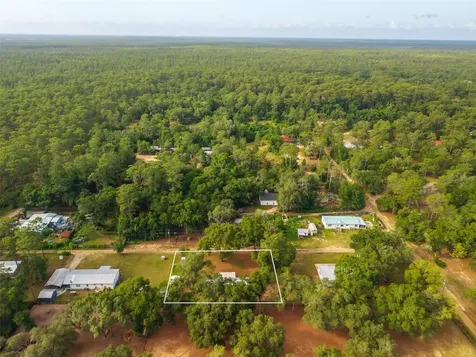 23939 NE 121 Lane Salt Springs FL 32134