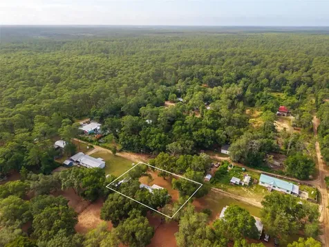 23939 NE 121 Lane Salt Springs FL 32134