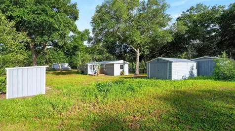 23939 NE 121 Lane Salt Springs FL 32134