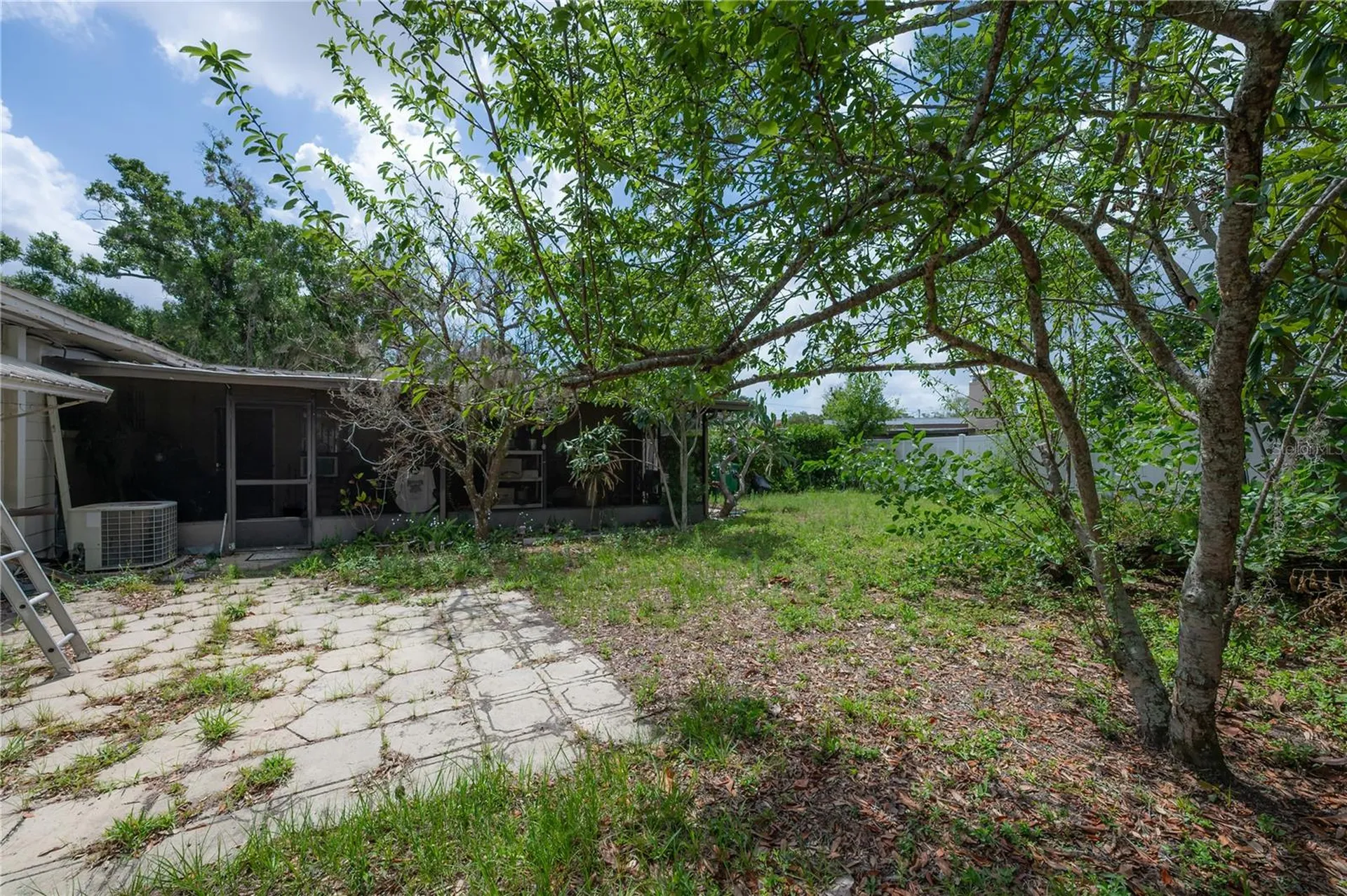 3803 River Grove Drive Tampa FL 33610