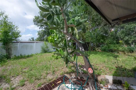 3803 River Grove Drive Tampa FL 33610