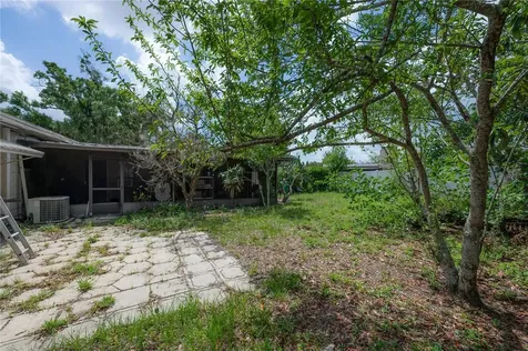 3803 River Grove Drive Tampa FL 33610