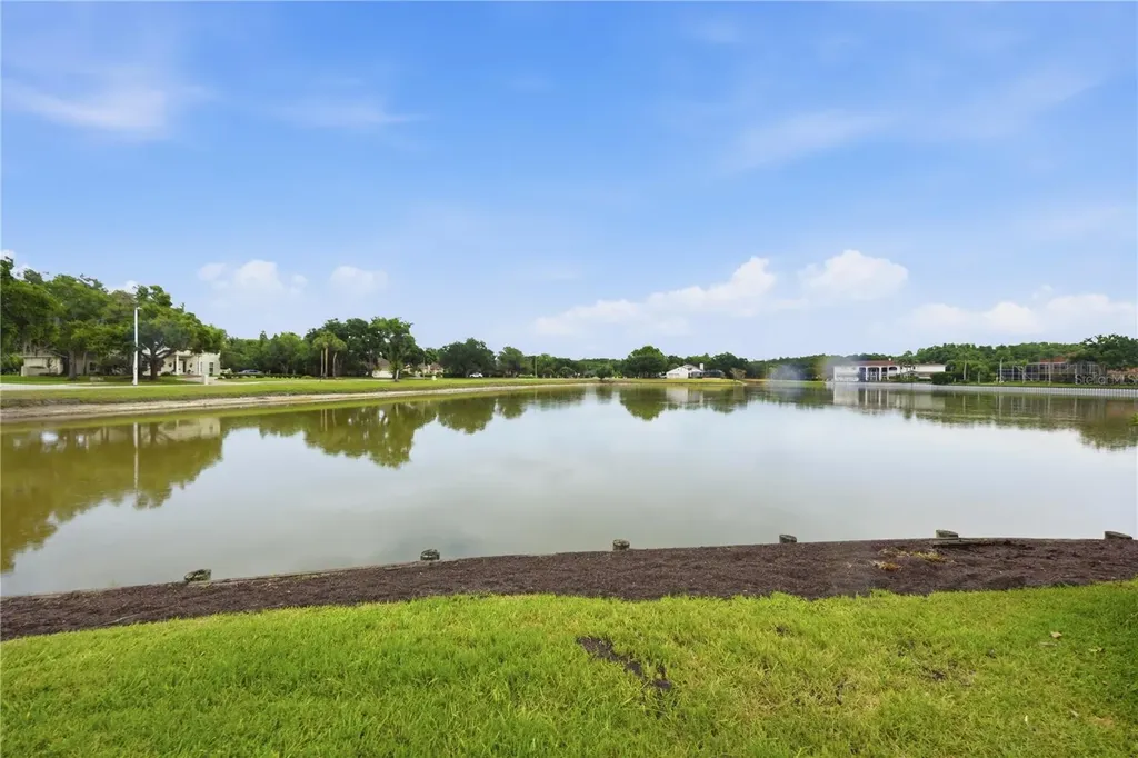 4123 Highland Park Circle Lutz FL 33558