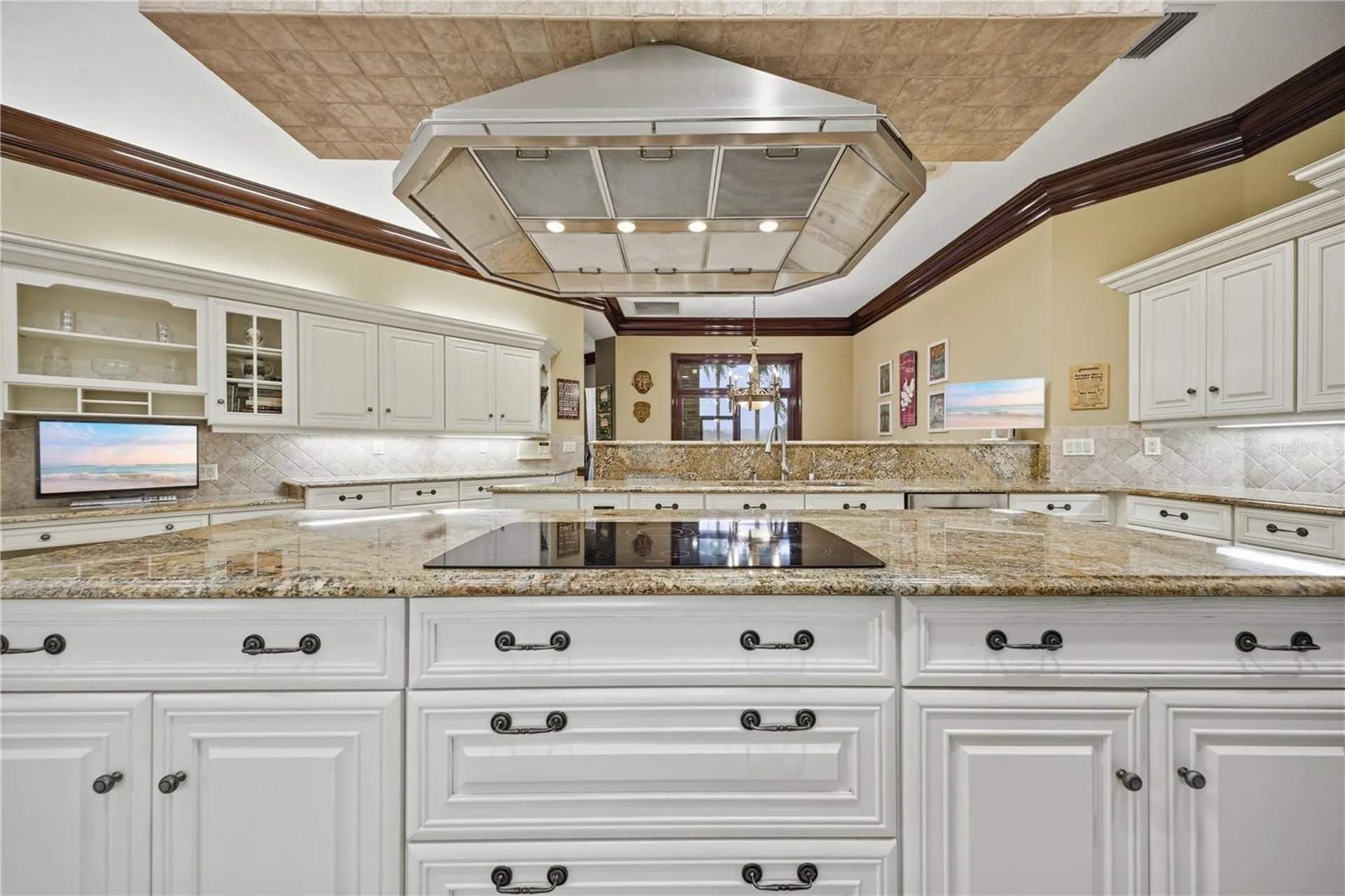 4123 Highland Park Circle Lutz FL 33558