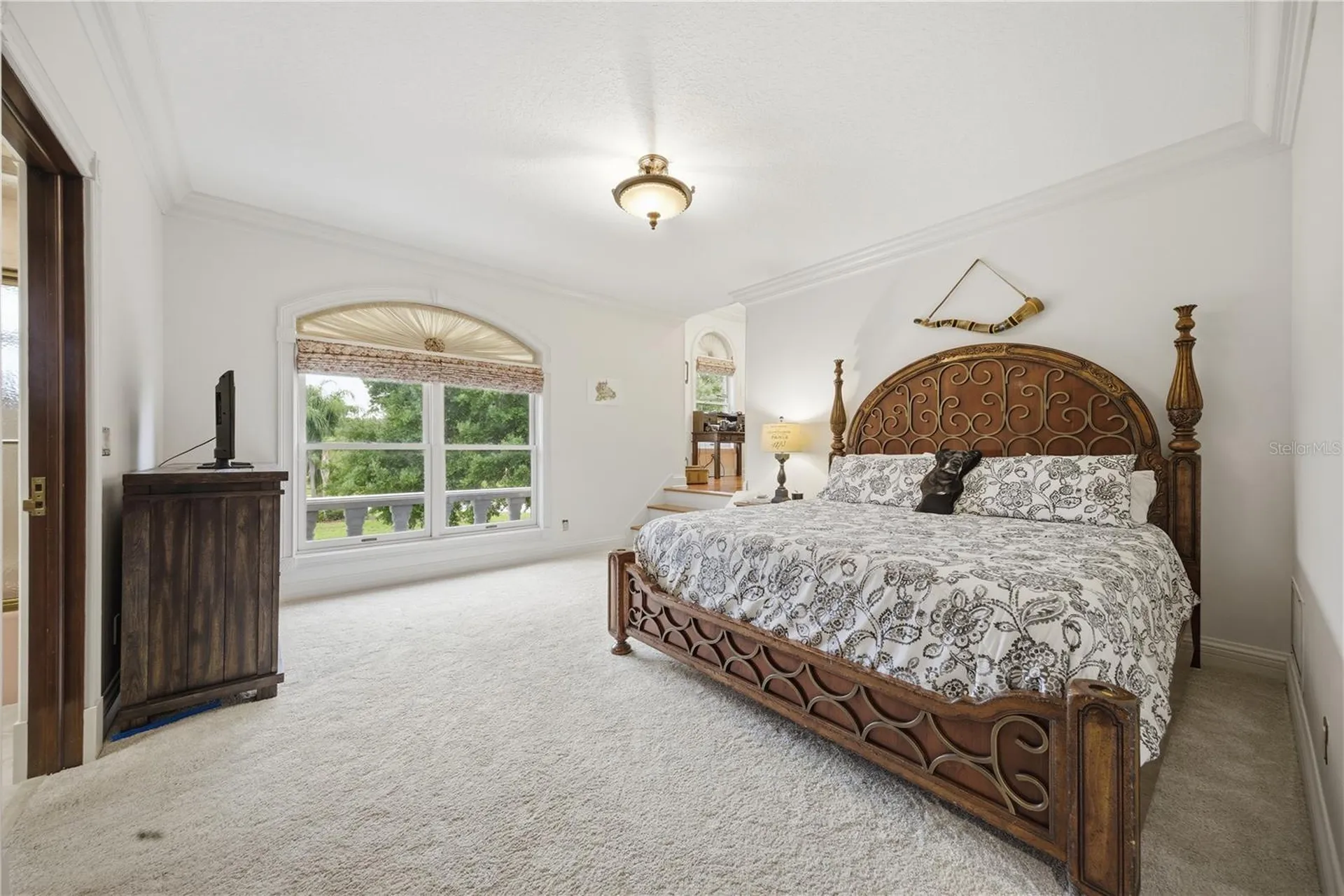 4123 Highland Park Circle Lutz FL 33558
