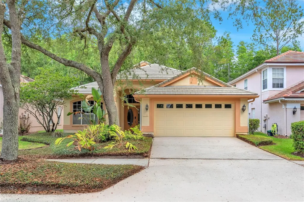 17738 Nathans Drive Tampa FL 33647