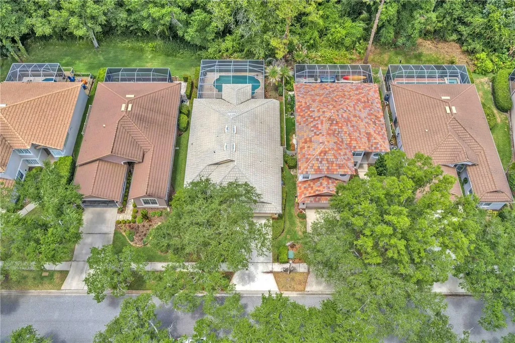 17738 Nathans Drive Tampa FL 33647