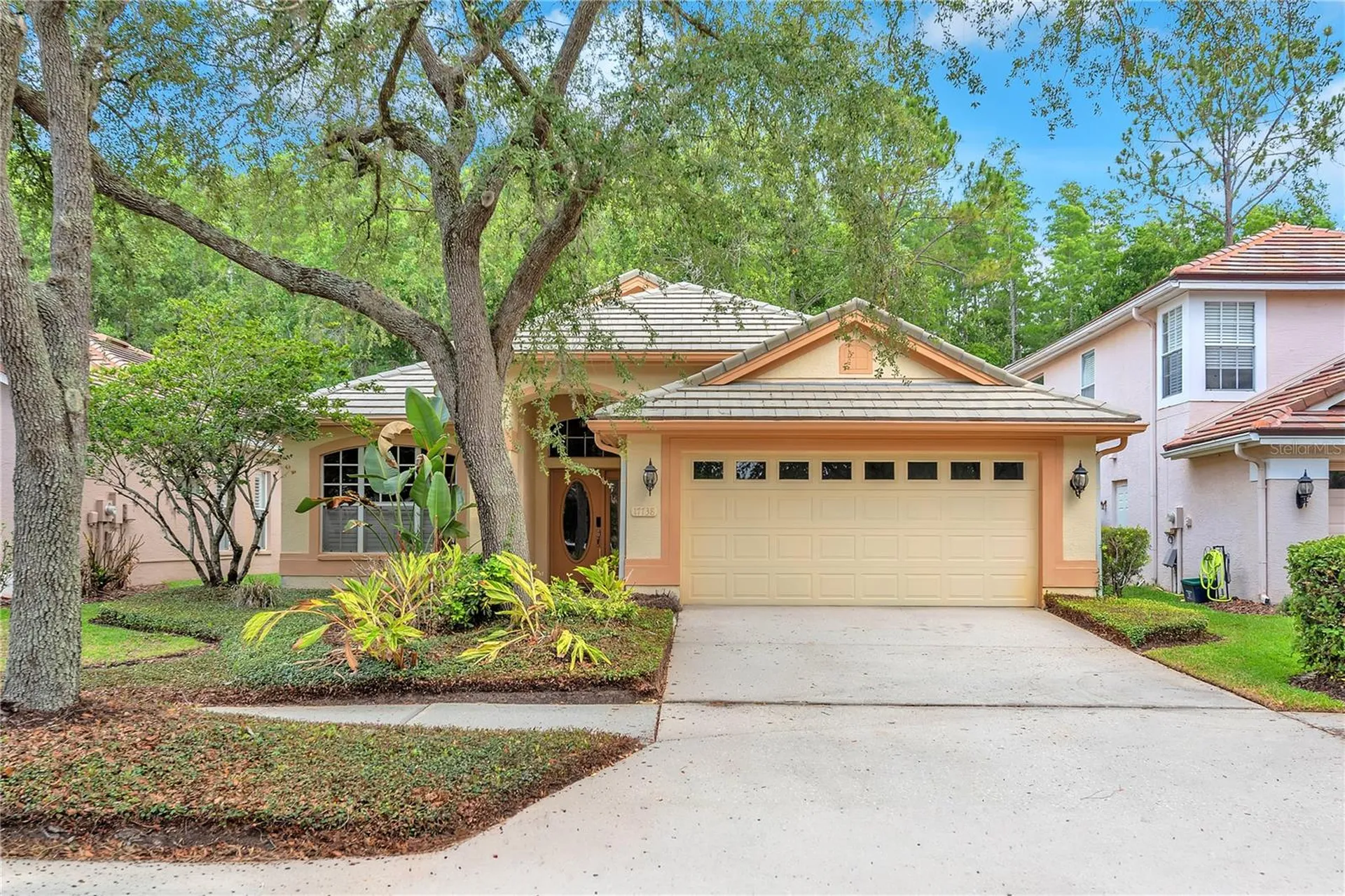 17738 Nathans Drive Tampa FL 33647