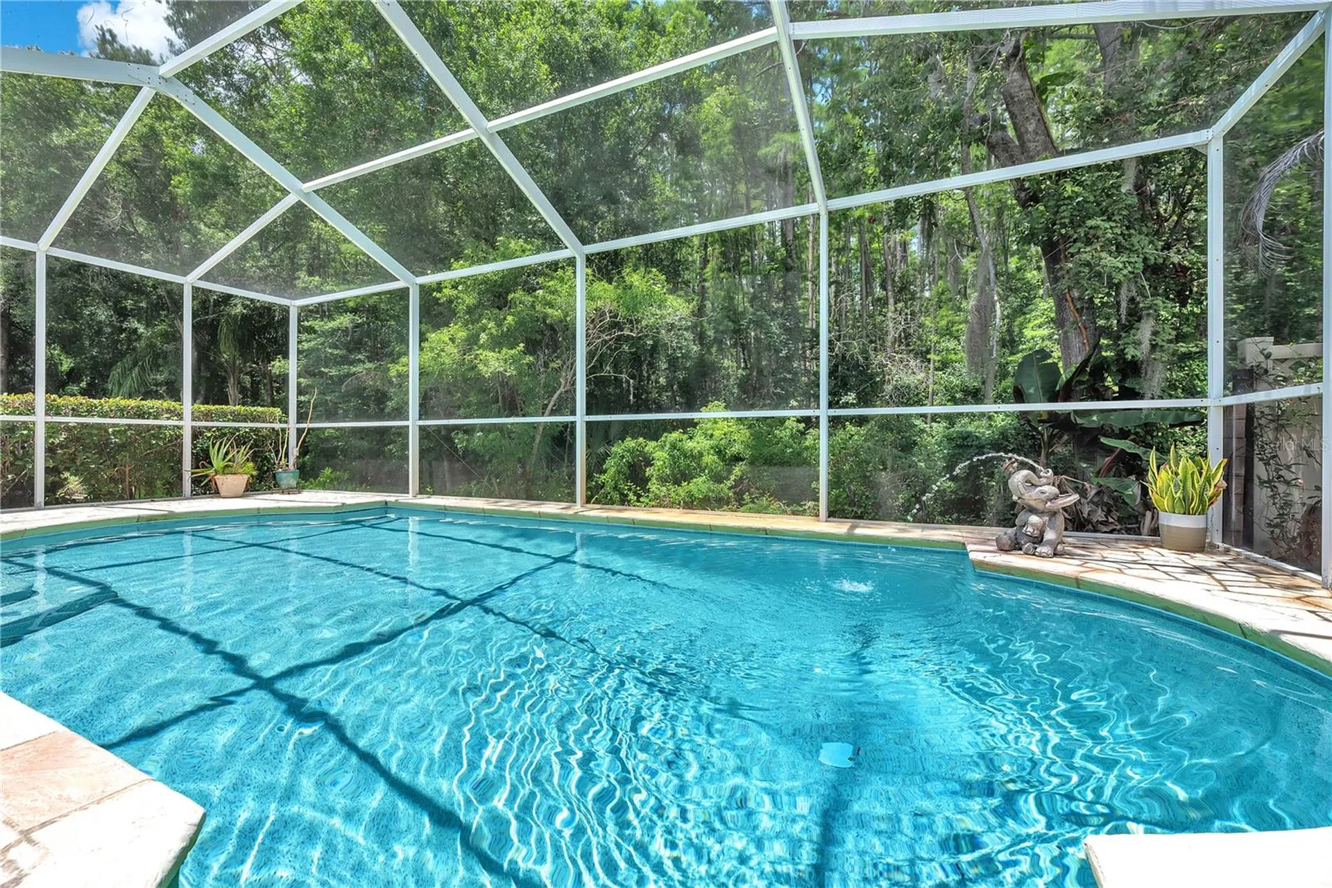 17738 Nathans Drive Tampa FL 33647