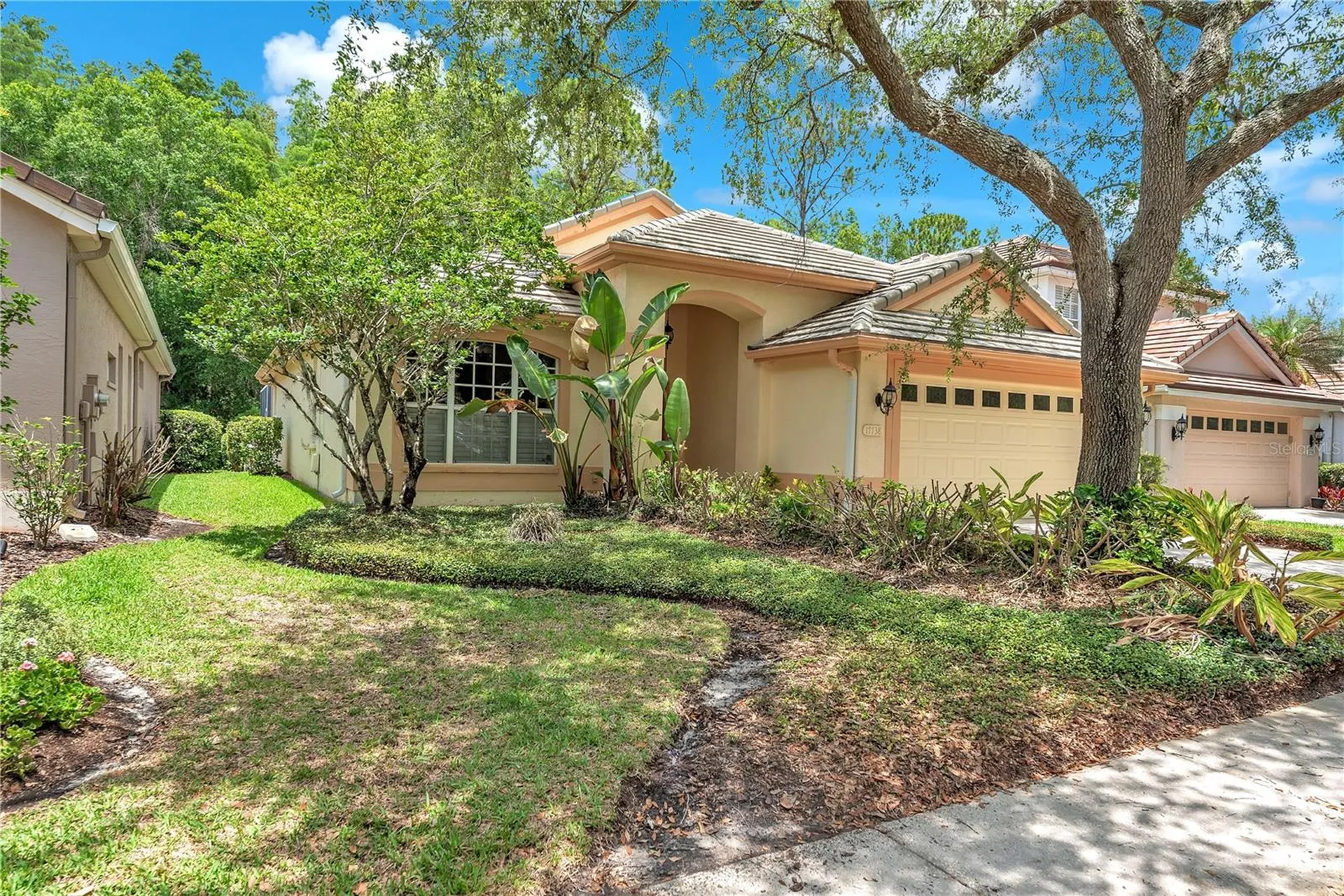 17738 Nathans Drive Tampa FL 33647
