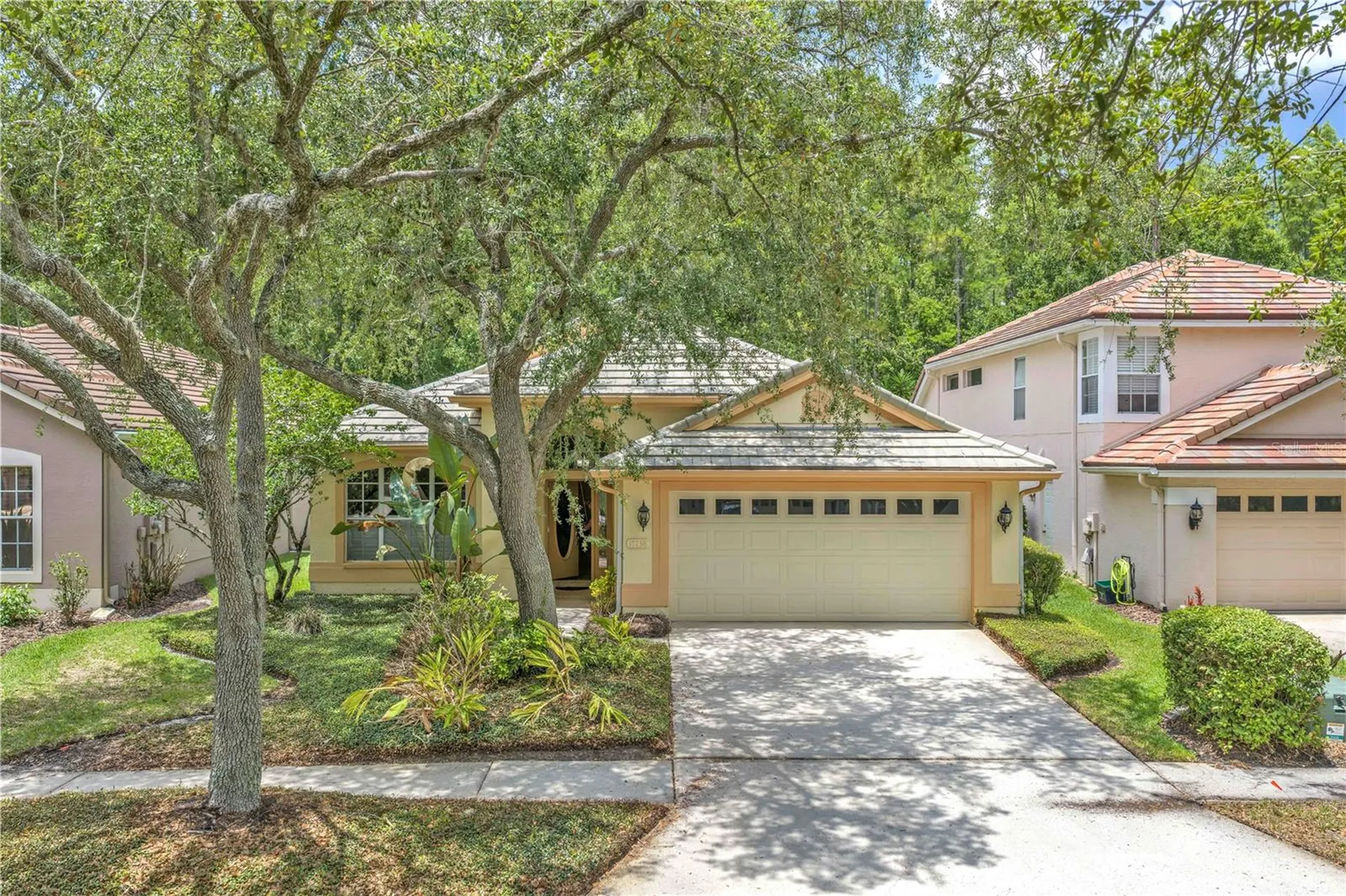 17738 Nathans Drive Tampa FL 33647