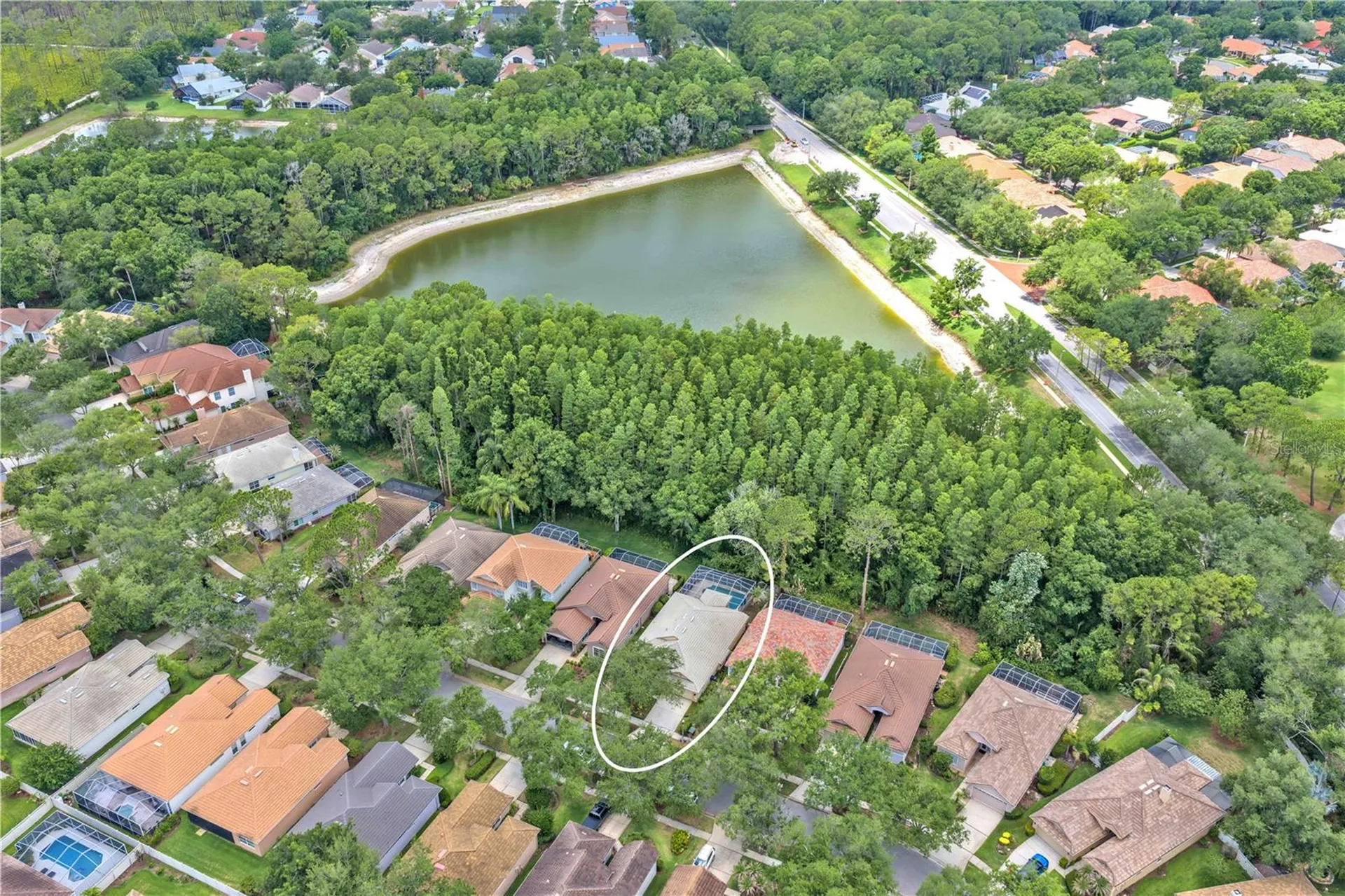 17738 Nathans Drive Tampa FL 33647