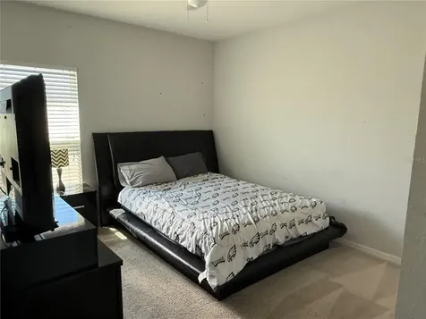 1501 Finchburg Street Minneola FL 34715