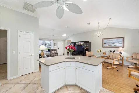 3146 Atwell Avenue The Villages FL 32162