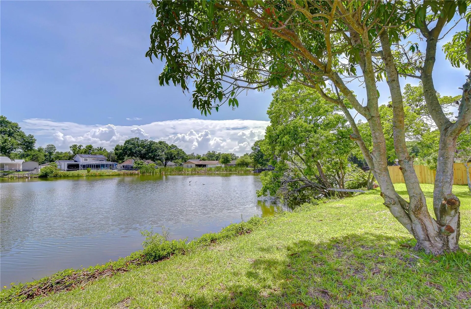 7214 Nia Lane Tampa FL 33625