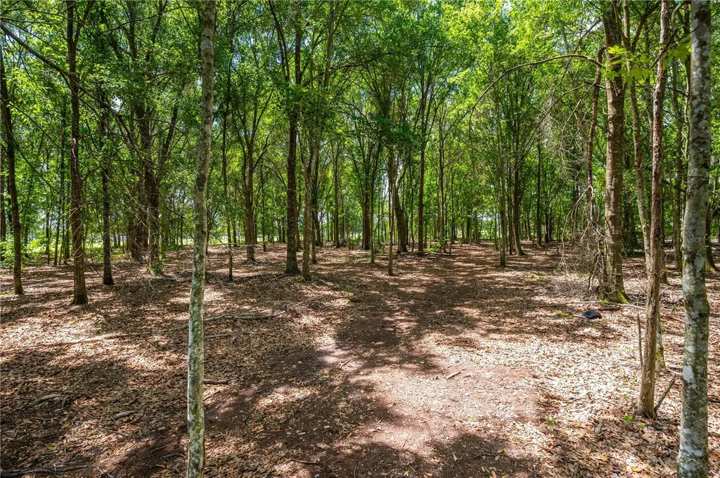 15079 Brahma Road Polk City FL 33868