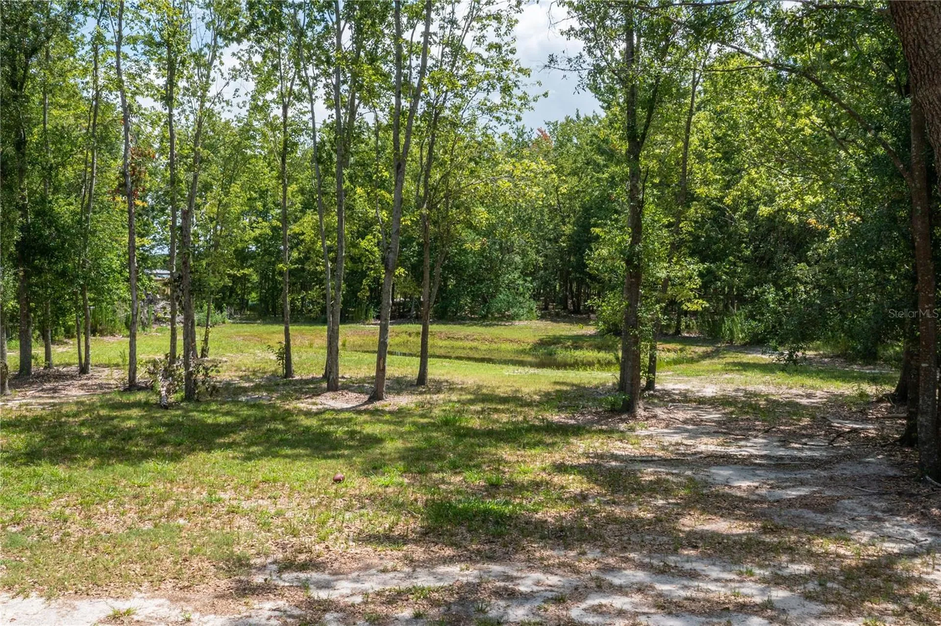 15079 Brahma Road Polk City FL 33868