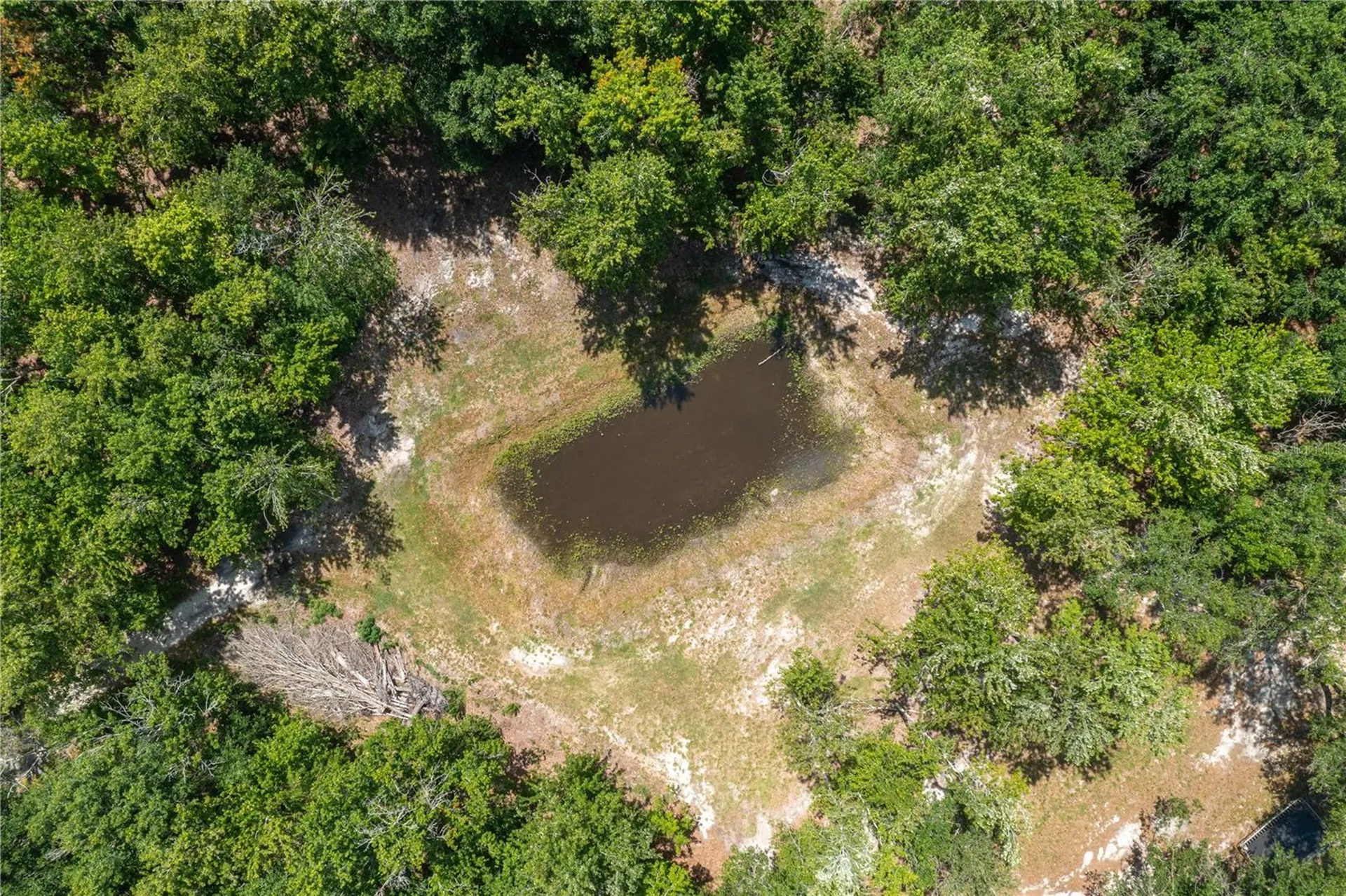 15079 Brahma Road Polk City FL 33868