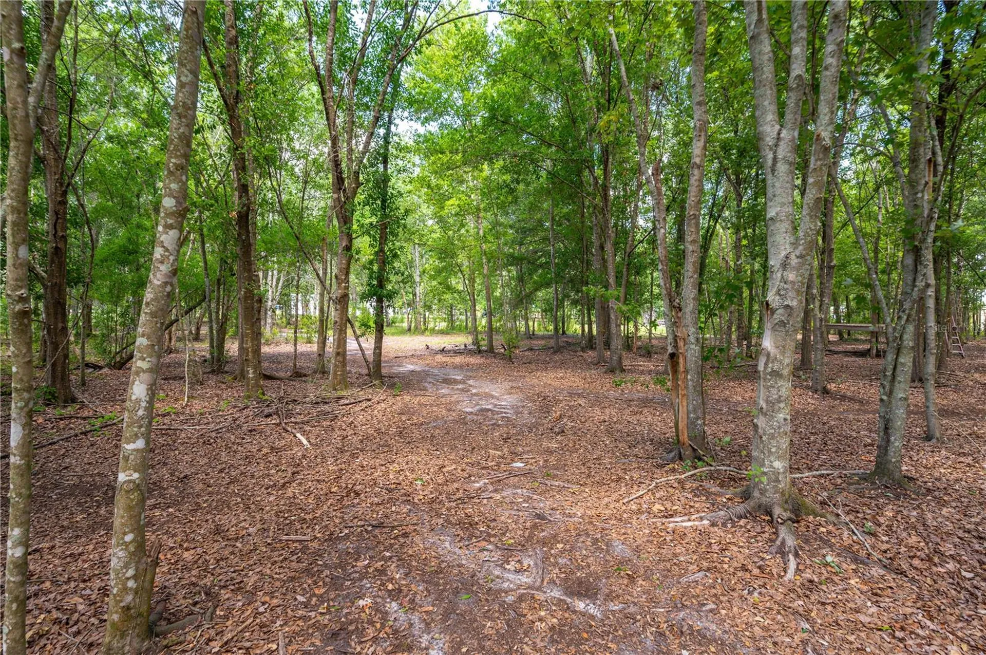 15079 Brahma Road Polk City FL 33868
