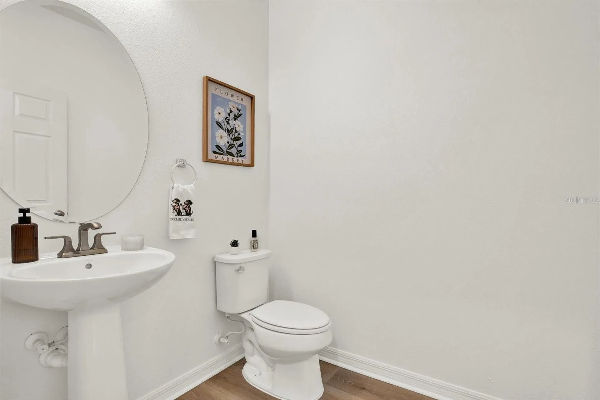 7223 Blue Beech Drive Riverview FL 33578