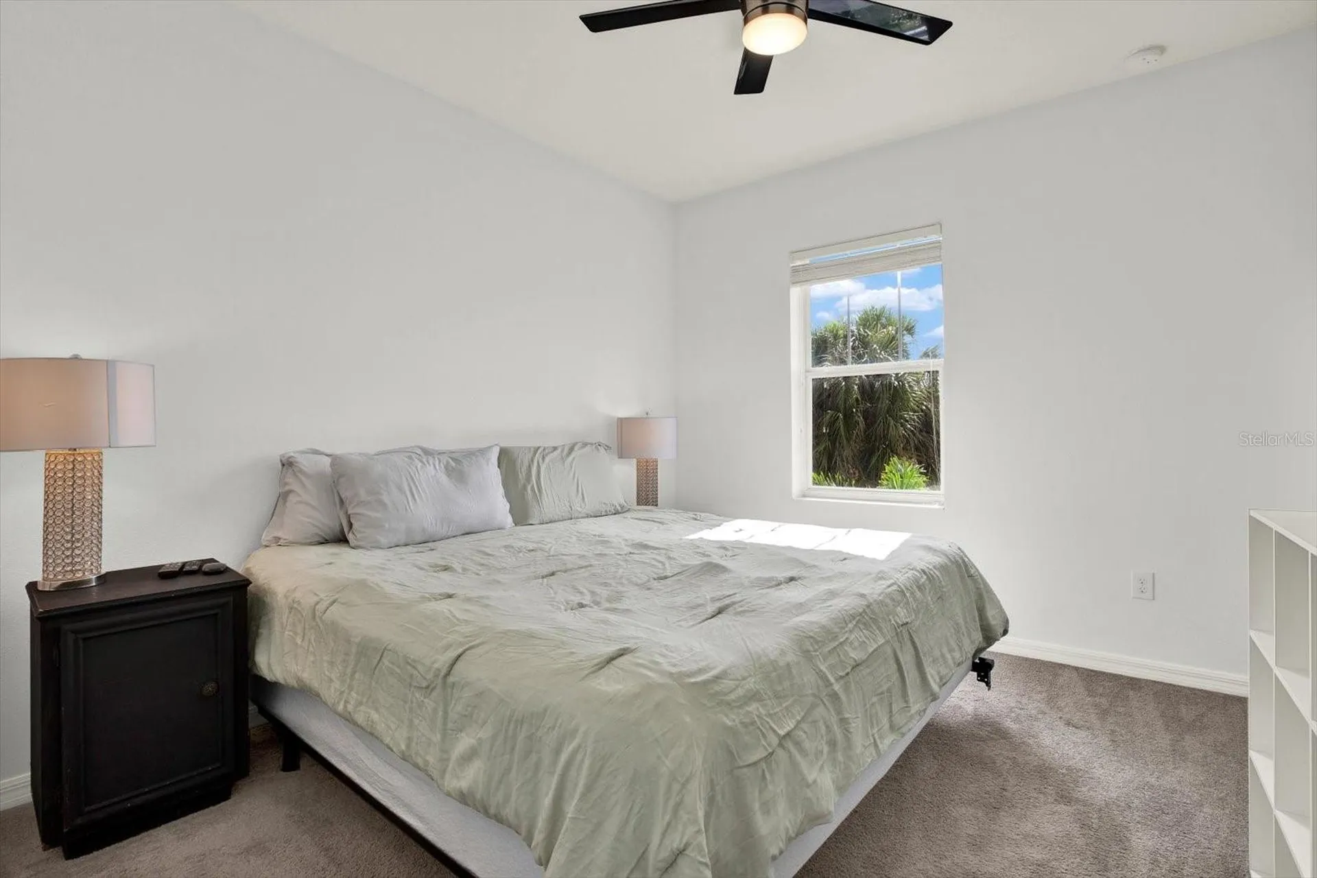 7223 Blue Beech Drive Riverview FL 33578