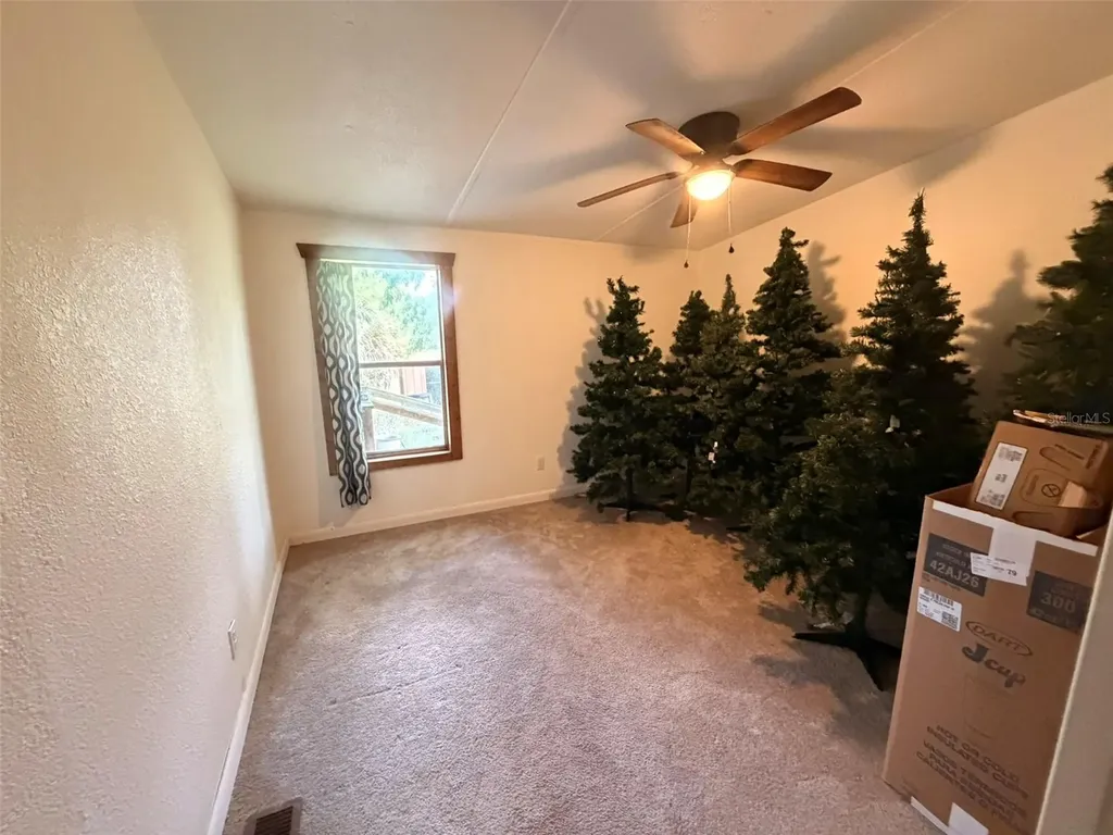 21685 NE 133rd Place Fort Mc Coy FL 32134