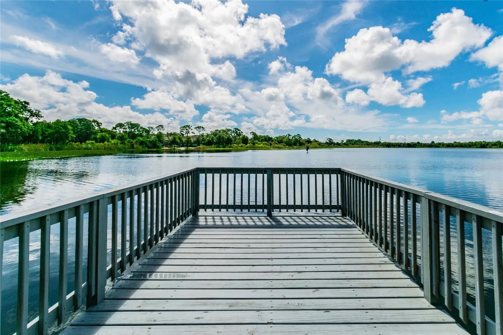2803 Northcote Drive Palm Harbor FL 34684