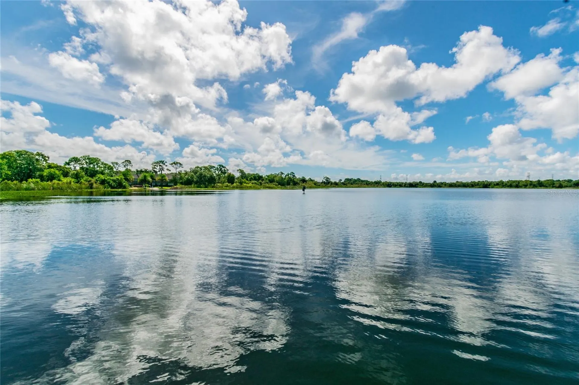 2803 Northcote Drive Palm Harbor FL 34684