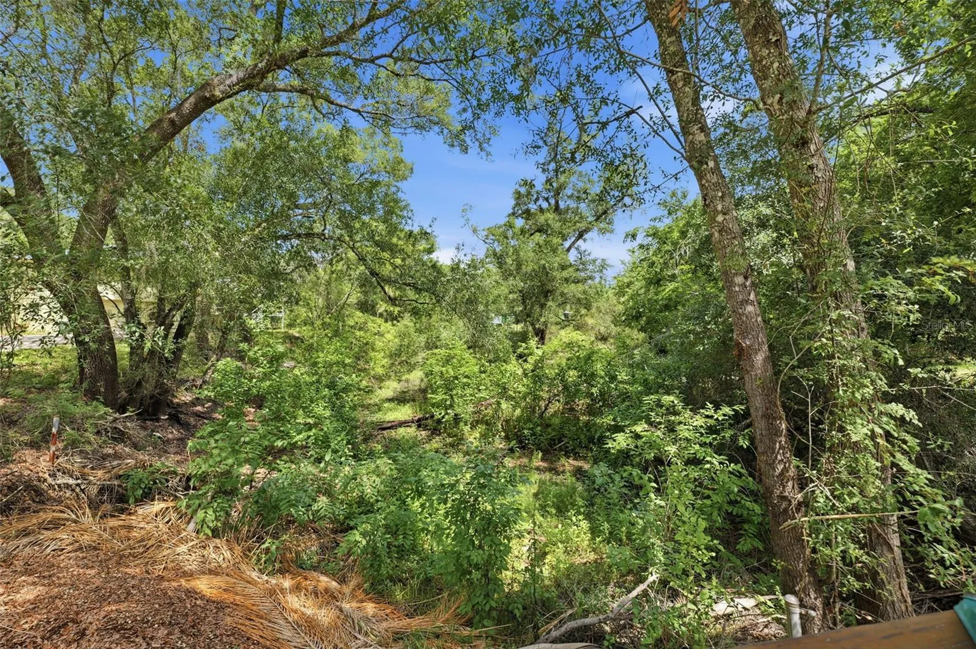 3183 Cedley Road Dade City FL 33523