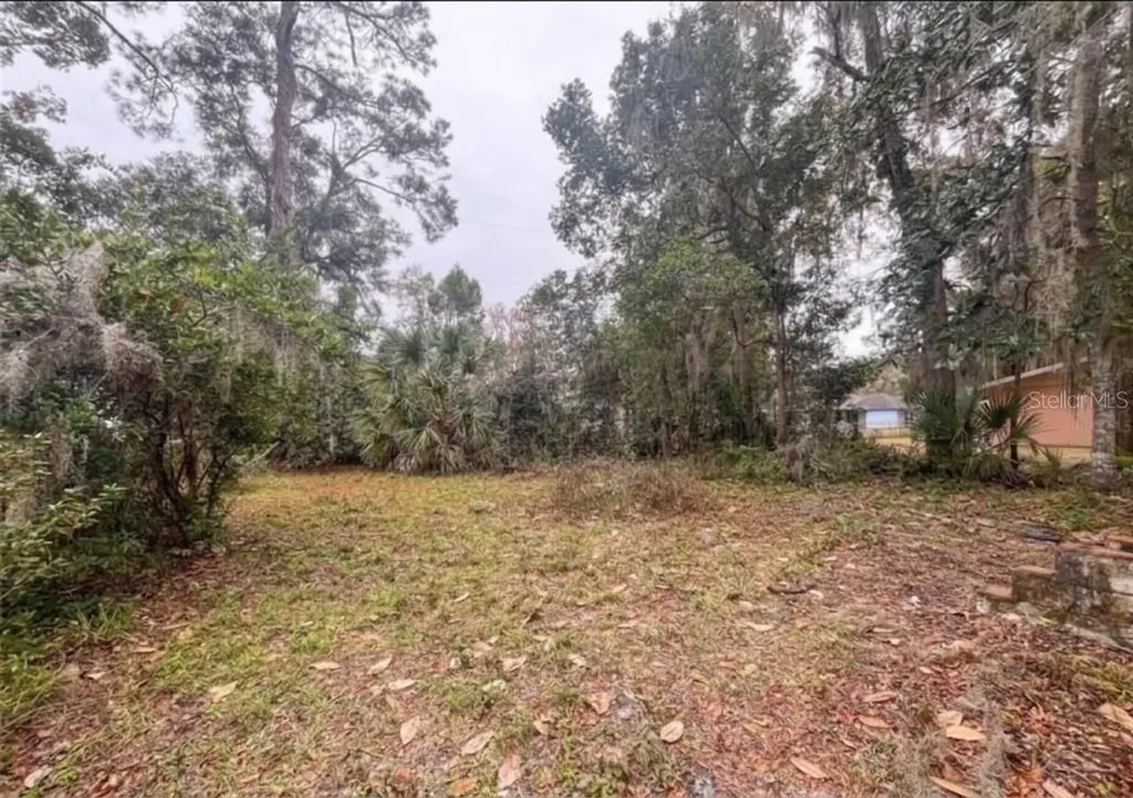 407 NE 19th Drive Gainesville FL 32641