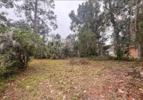 407 NE 19th Drive Gainesville FL 32641
