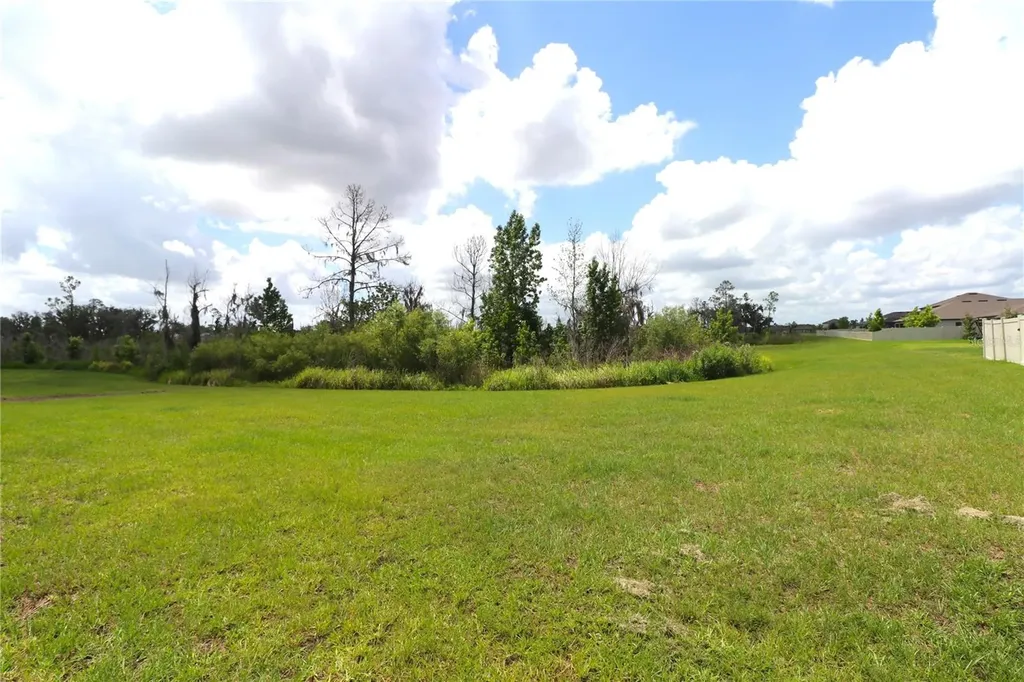 4006 Capri Coast Drive Plant City FL 33565