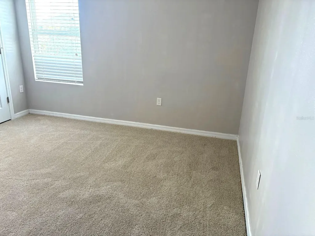3846 Crystal Dew Street Plant City FL 33567