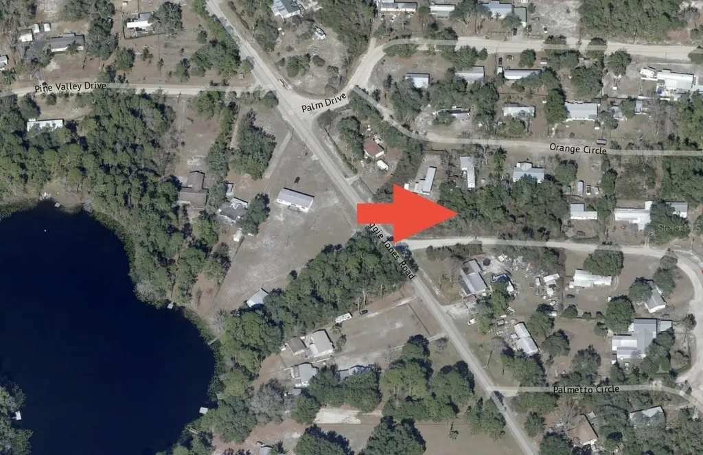 Palmetto Circle Paisley FL 32767