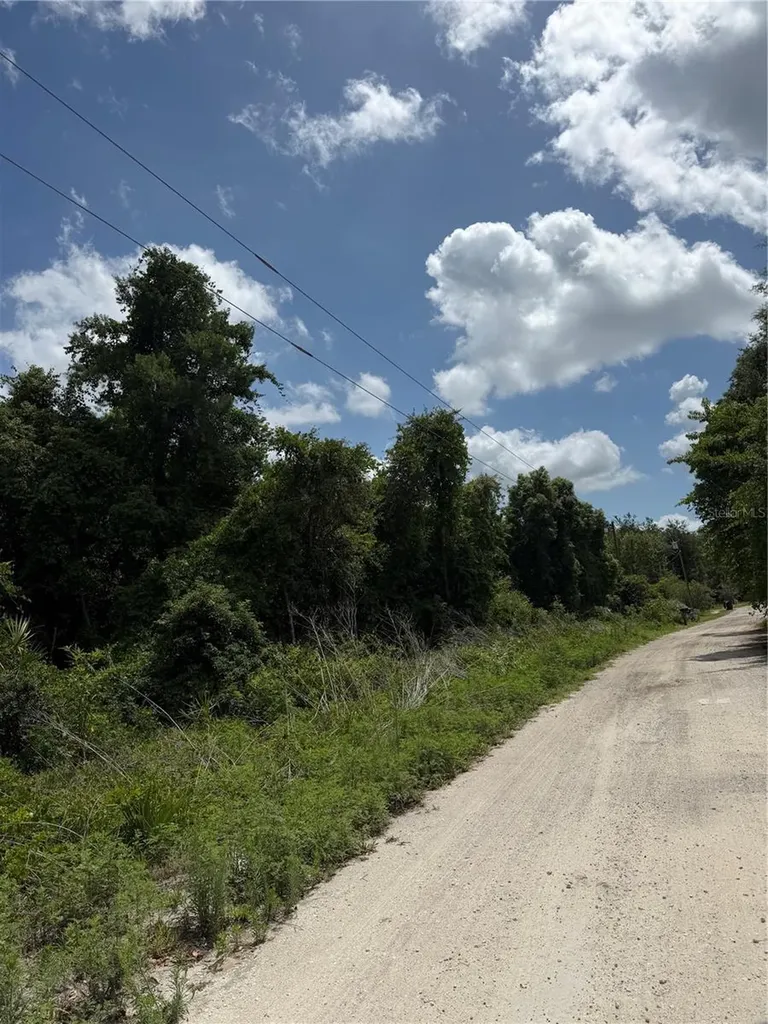 Palmetto Circle Paisley FL 32767