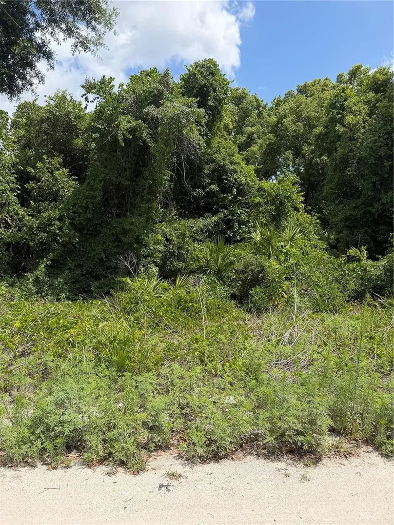 Palmetto Circle Paisley FL 32767