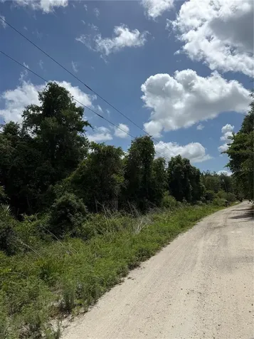 Palmetto Circle Paisley FL 32767