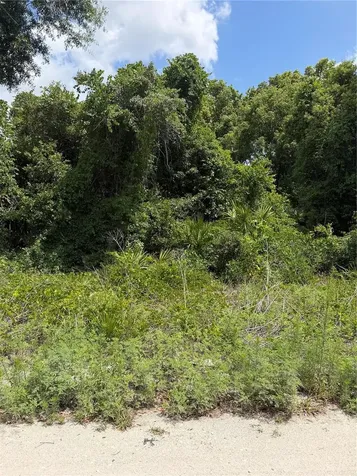 Palmetto Circle Paisley FL 32767