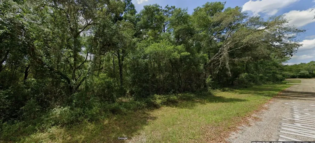 282 W Whitmarsh Court Dunnellon FL 34434