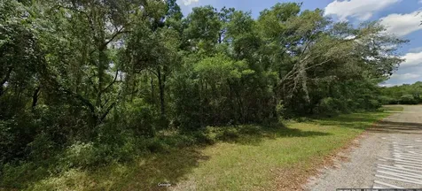 282 W Whitmarsh Court Dunnellon FL 34434