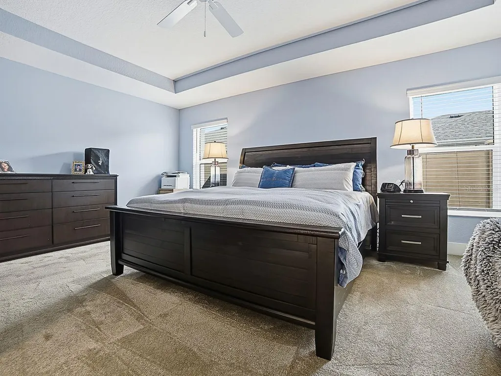 4258 Widmann Place The Villages FL 32163